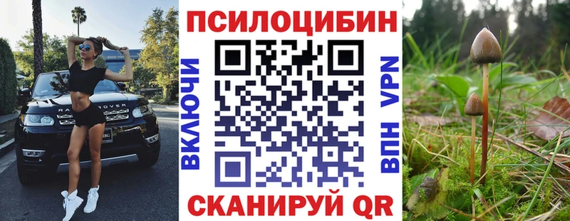 mega зеркало  Брюховецкая  Псилоцибиновые грибы прущие грибы 